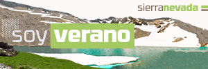 300×100 01