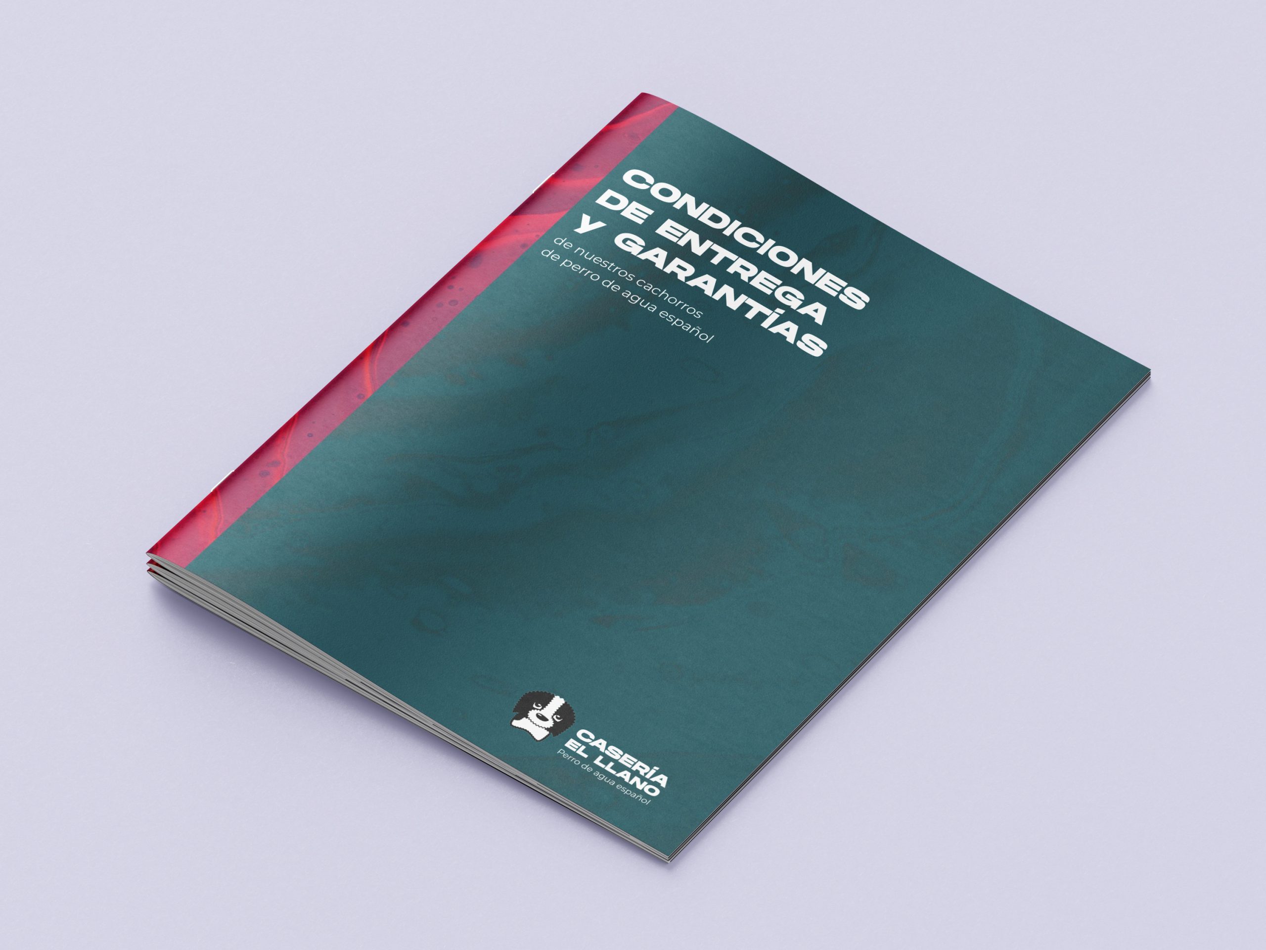 Mockups Design