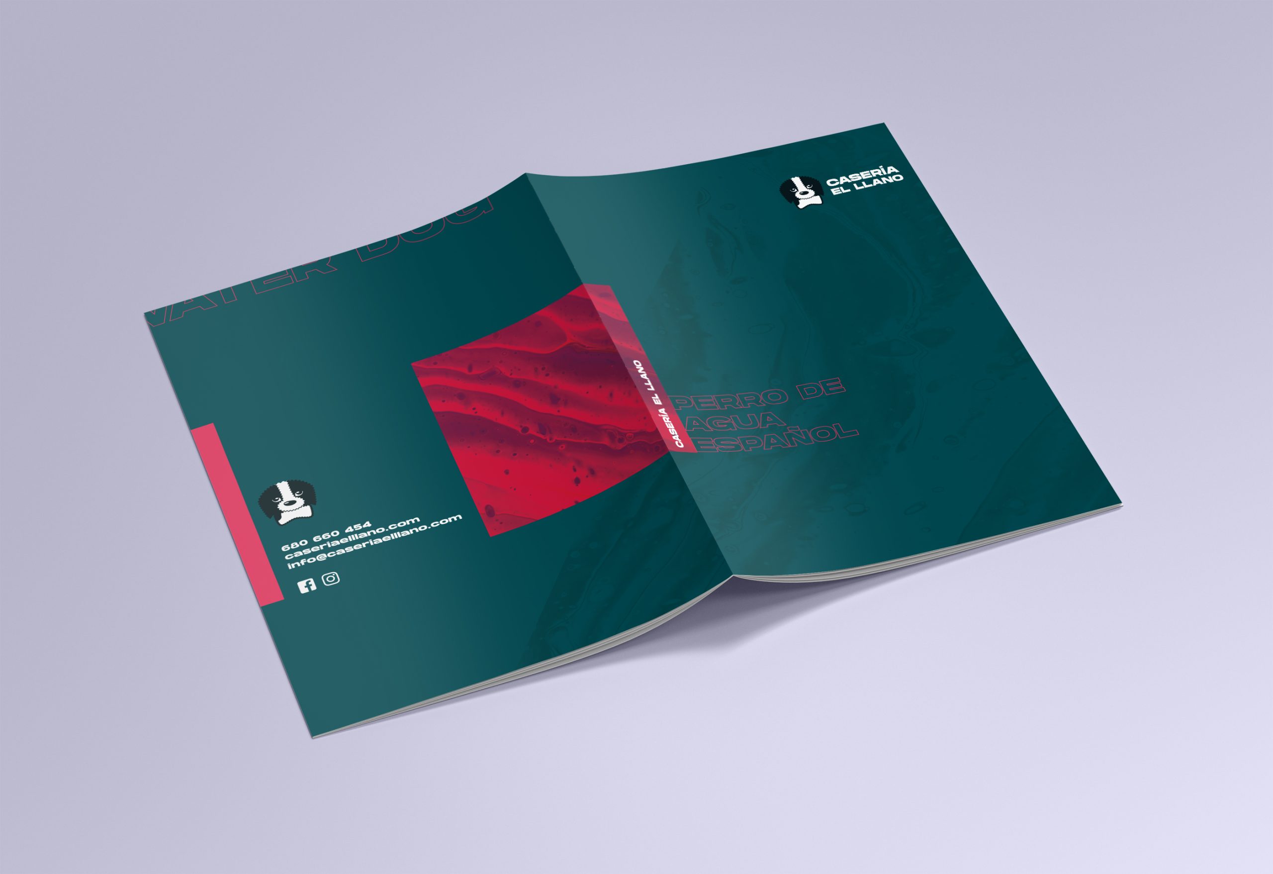 Mockups Design