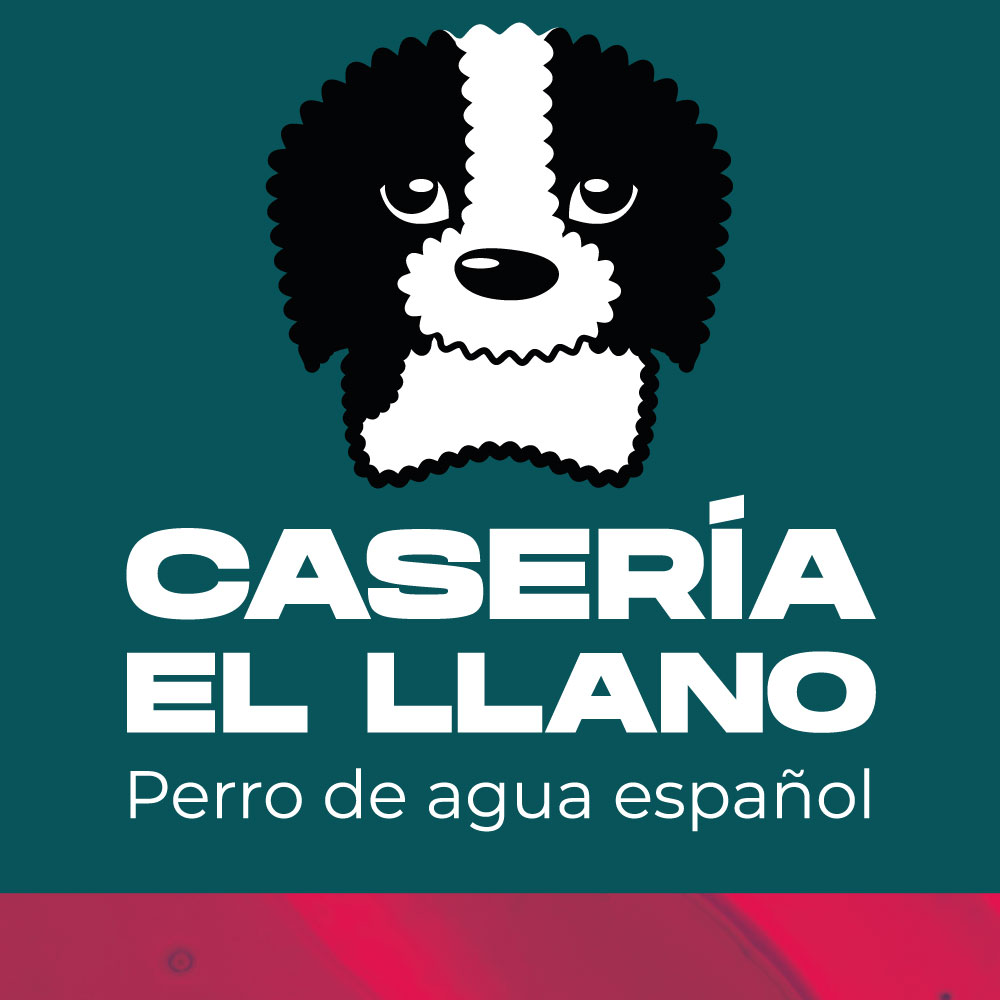 foto-perfil