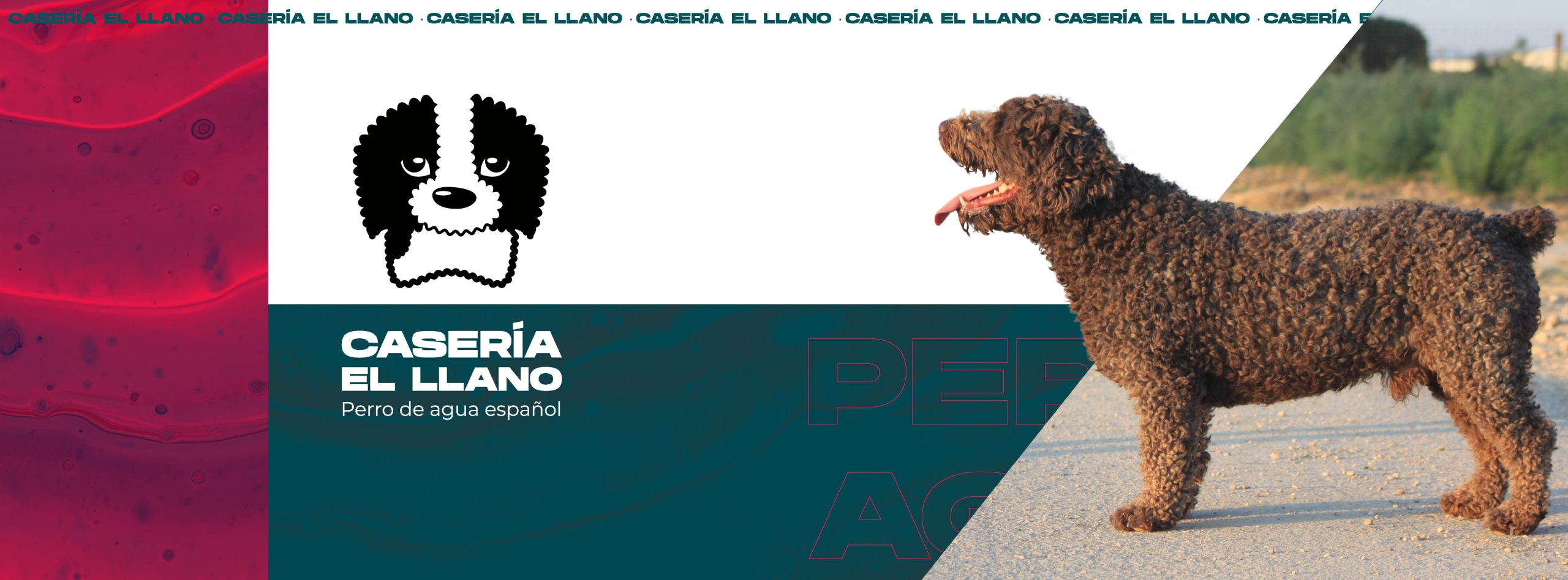portada-04